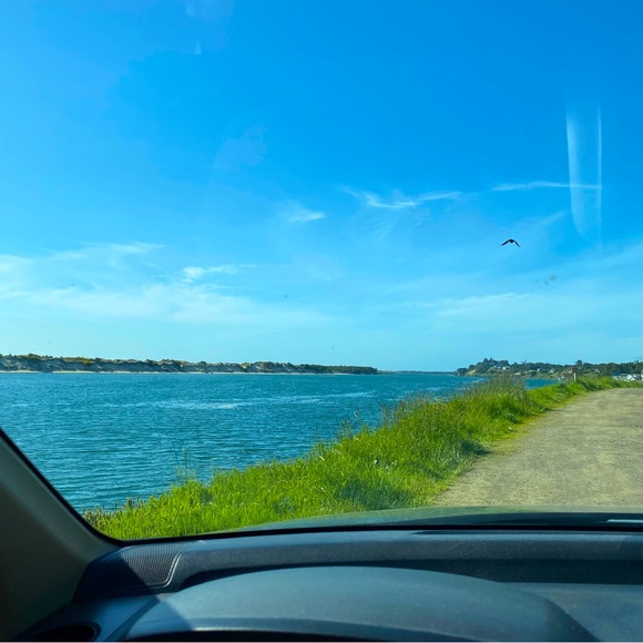 Meet your Posher, Cindi - Picture 1 of 2